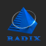 Radixweb logo